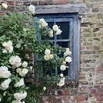 Bed & Breakfast La Madeleine De Proust Leonie *