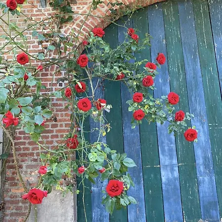 La Madeleine De Proust Leonie *