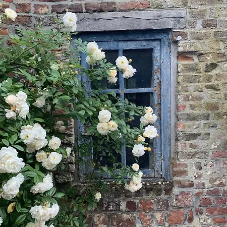 Bed & Breakfast La Madeleine De Proust Leonie *