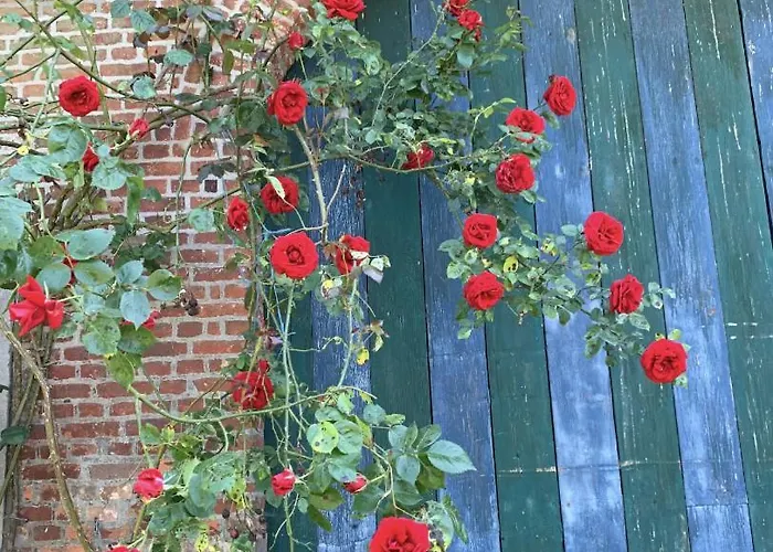 La Madeleine De Proust Leonie *