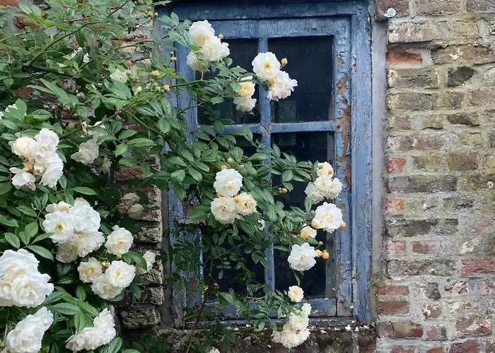 Bed & Breakfast La Madeleine De Proust Leonie *