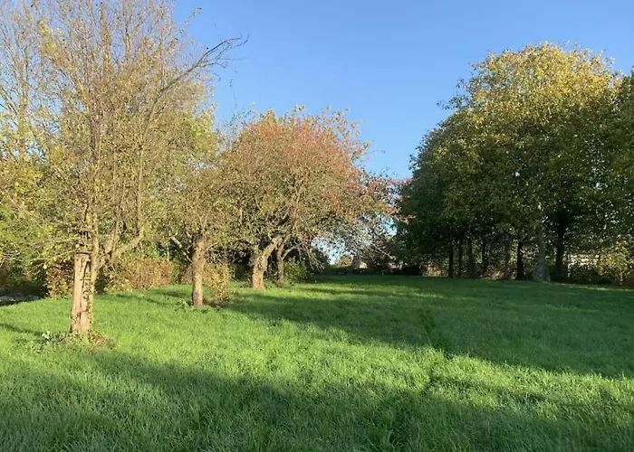 Bed & Breakfast La Madeleine De Proust Leonie *